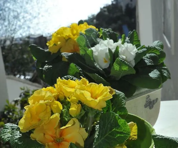 Casa Carola Позітано