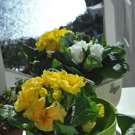 Casa Carola ポジターノ